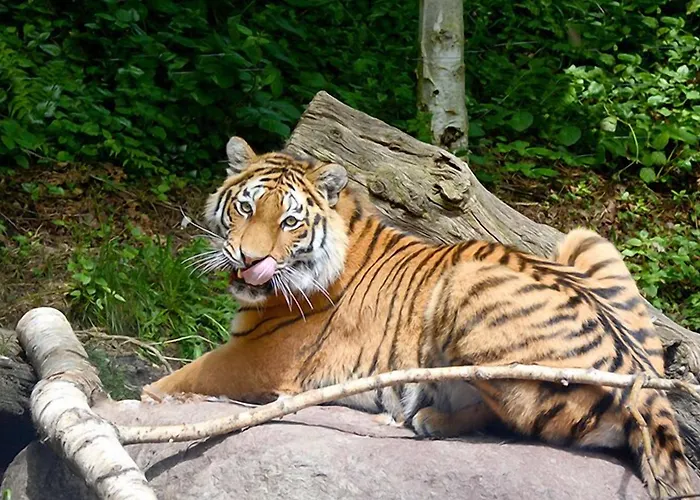 Postumia 3* 도소부오노