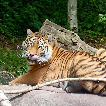 Postumia 3* דוסובונו